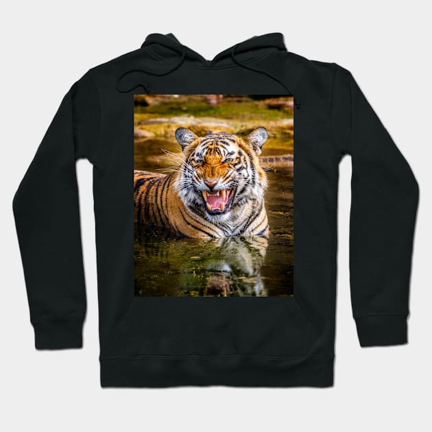 Bengal Tigress Hoodie by GrahamPrentice
